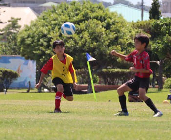 全日本U-12サッカー選手権大会