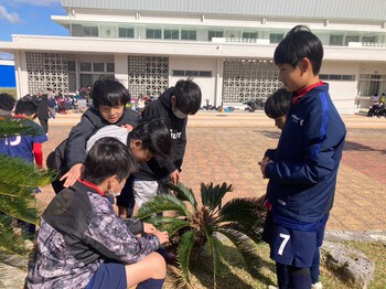 はごろもカップ2日目