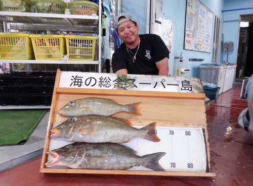 釣果写真更新(^_-)-☆