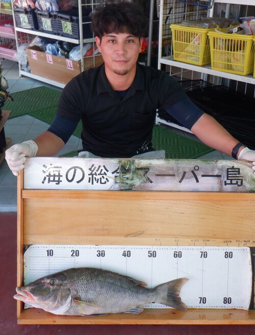 釣果写真更新(^_-)-☆