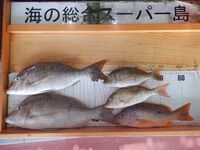 釣果写真更新(^_-)-☆ 2022/10/29 17:33:51