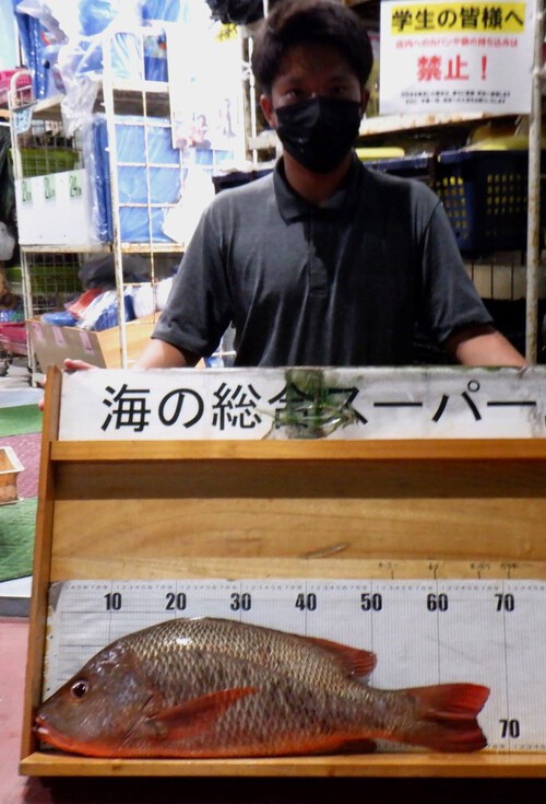 釣果写真更新(^_-)-☆