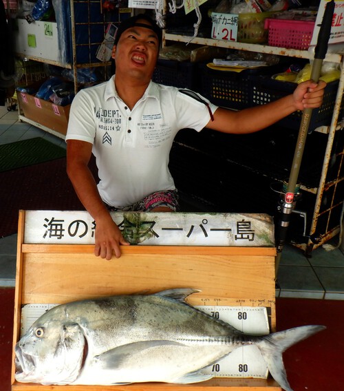 釣果写真更新(^_-)-☆
