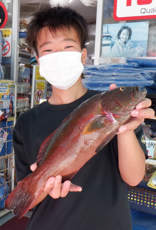 釣果写真更新(^_-)-☆