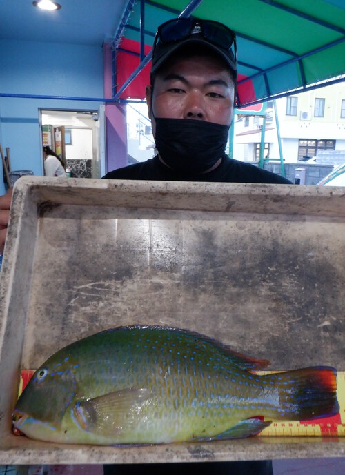 釣果写真更新(^_-)-☆