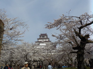仙台から花便り（おまけ付き）