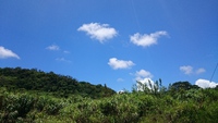 今帰仁じんじん  2015/06/17 12:19:36