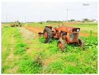 cool tractor ２ 2015/03/23 20:45:10
