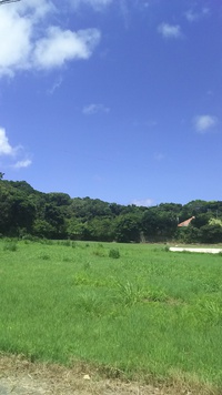 屋外でのお仕事お疲れ様です