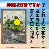 #山吹の花〜♪ 2023/04/14 14:05:23