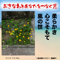 #花の日〜♪ 2023/08/07 15:12:08