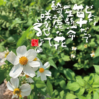 沖縄で前向きメッセージ創作やってます。 2021/03/19 06:14:21