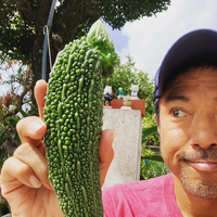 ゴーヤー無事収穫！ 2021/09/11 15:41:40
