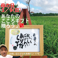 母の日贈り物決まりましたか？ 2021/04/21 18:51:14