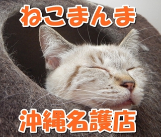 投稿用２