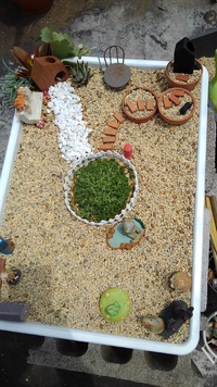 多肉植物 2021/05/01 08:48:21