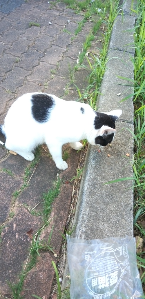 小さな素敵