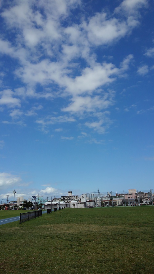 好きな歌