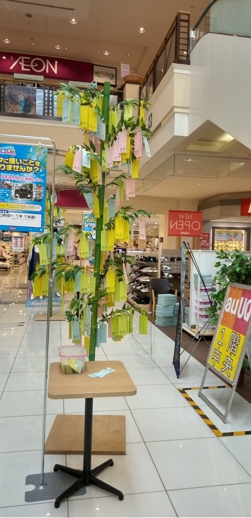 今日で６月も終わり
