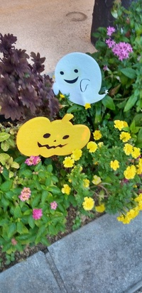 小さな素敵✨ 2022/10/10 16:35:31