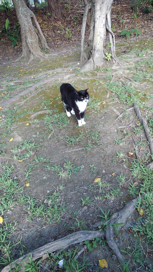 久しぶりの公園