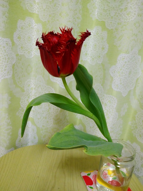花を飾ると、神舞いおりる