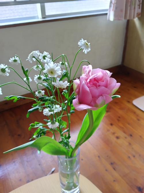 2月も終わり