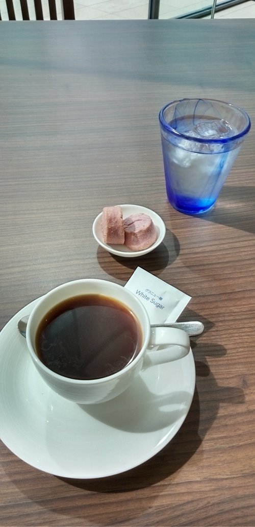 お久しぶりです