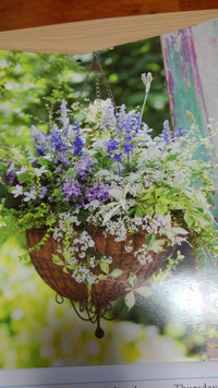 あっという間に７月 2022/07/01 13:31:55