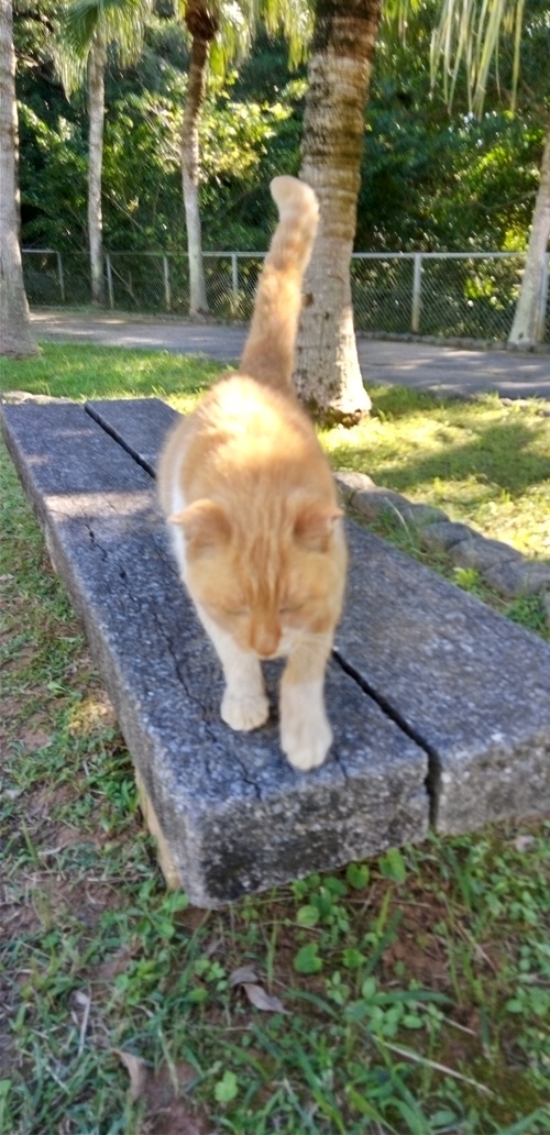 お天気が良かったので✨