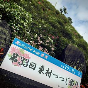 東村つつじ祭りSolunaステージ出演☆