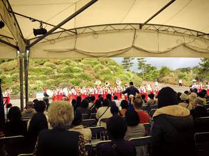 東村つつじ祭りSolunaステージ出演☆