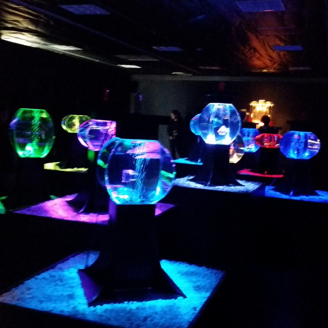 アートアクアリウム展