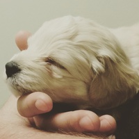眠いです〜。