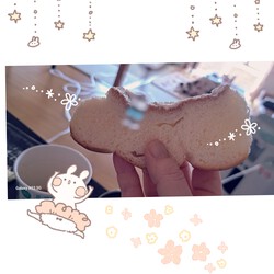 [朝ごはん☕]384位