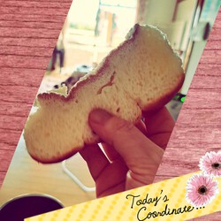 [朝ごはん☕]384位