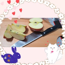[アップルパイ作りました]825位
