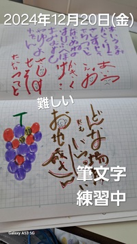 [筆文字練習中]266位 2024/12/20 15:06:48