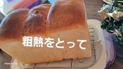 705位[食パン仕上がりました]