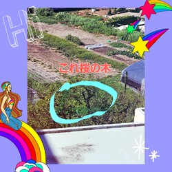 [ベランダからの景色]583位