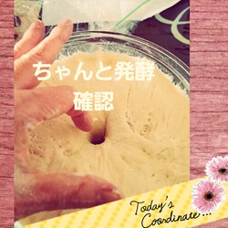 705位[食パン作り]