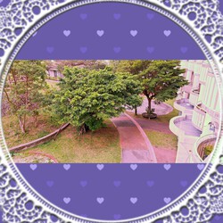 [ベランダからの景色]286位