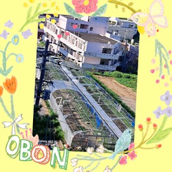 [ベランダからの景色]687位