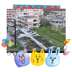 [ベランダからの景色]867位