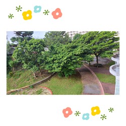 454位[家庭菜園やってます。]