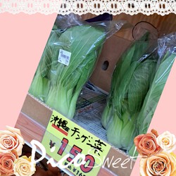[散歩してきました。]833位