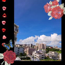 [ベランダからの景色]784位
