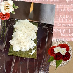 [ボーク&たまご晩ごはん]384位