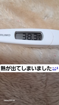 554位[入院しちゃった] 2024/12/13 16:19:34