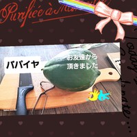708位[パパイヤ炒め] 2024/11/12 16:44:47